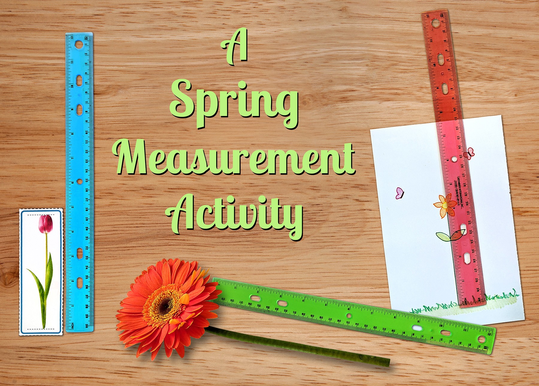 Measurement Activity for Spring