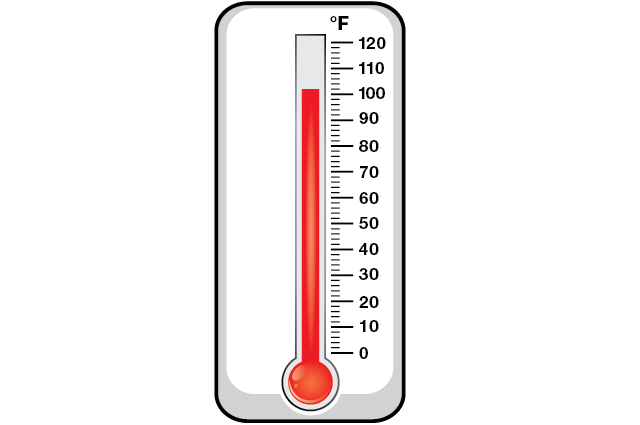 Virtual thermometer store