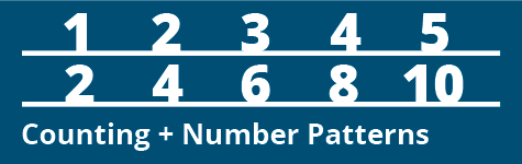 Counting and Number Patterns