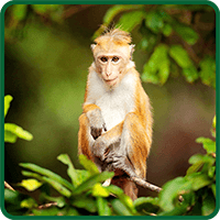 National Zoo Awareness Day Activities