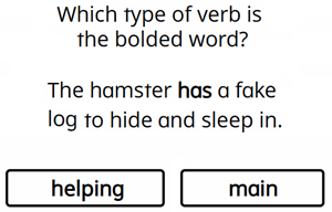 Main Verbs: have, has, had - Preview