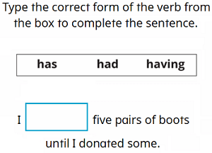 Main Verbs: have, has, had, having - Preview