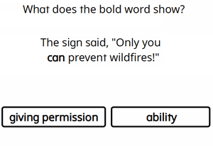 Modal Verbs - Preview