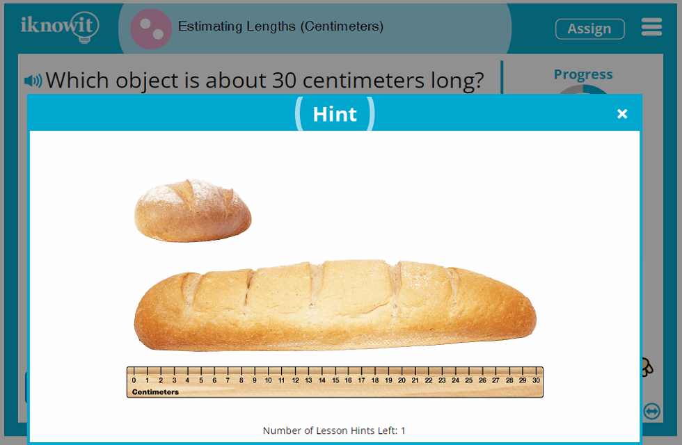 2nd Grade Estimate Lengths Using Metric System Centimeters Lesson