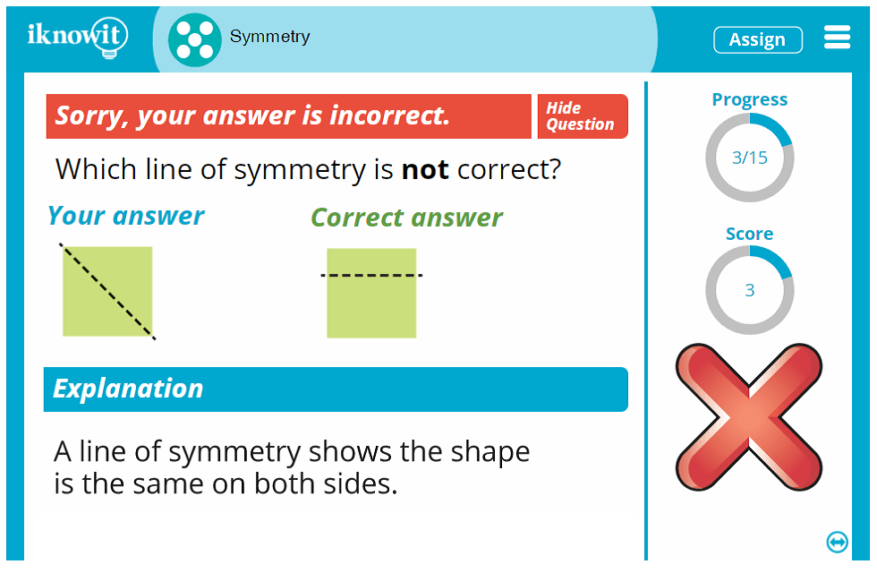 5th Grade Symmetry of Objects and Shapes Activity