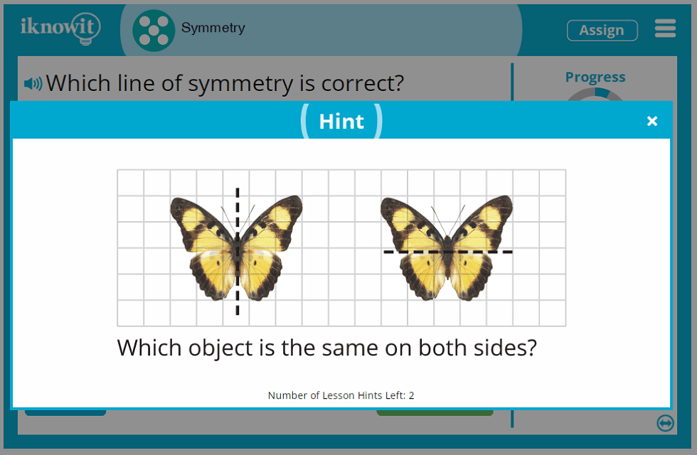 5th Grade Symmetry of Objects and Shapes Lesson